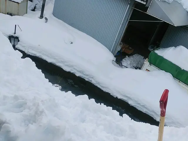 （土日祝日限定）ご指定の場所の雪かき・雪おろし/作業員１名サービスの画像