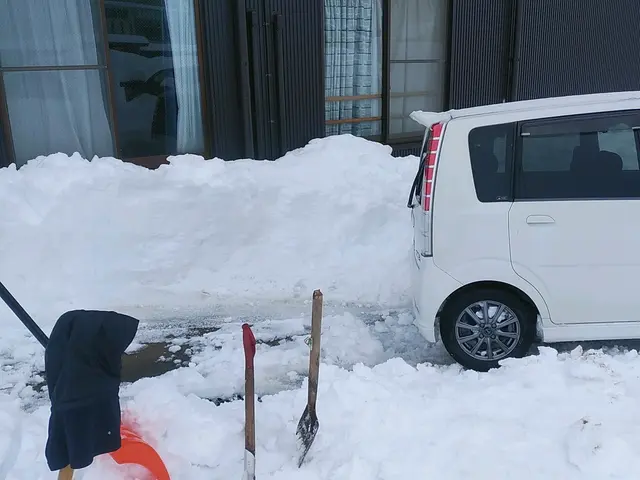 （土日祝日限定）ご指定の場所の雪かき・雪おろし/作業員１名サービスの画像