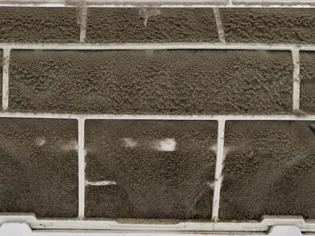 最近、嫌な臭いがする！風量が弱くなった！と思ったらお任せください！サービスの画像