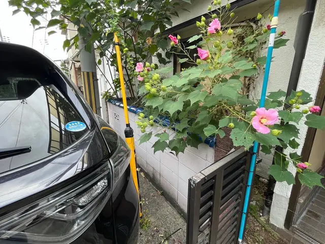 邪魔になった木をきります！サービスの画像