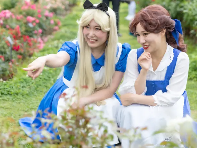 【高品質】ライブ・イベント動画編集パック