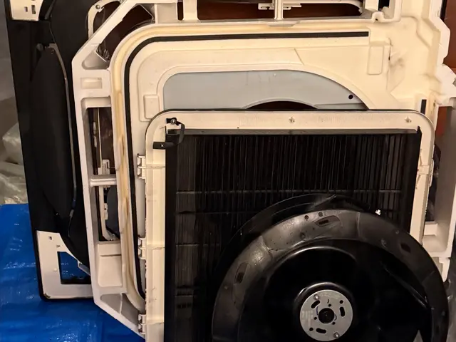 湘南発✧カビ臭・黒カビ徹底除去✧最短即日対応可能✧東京・神奈川対応 ✧サービスの画像