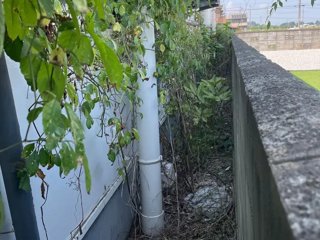 ●土日対応致します！　◆丁寧な手作業による「草むしり」承ります！サービスの画像