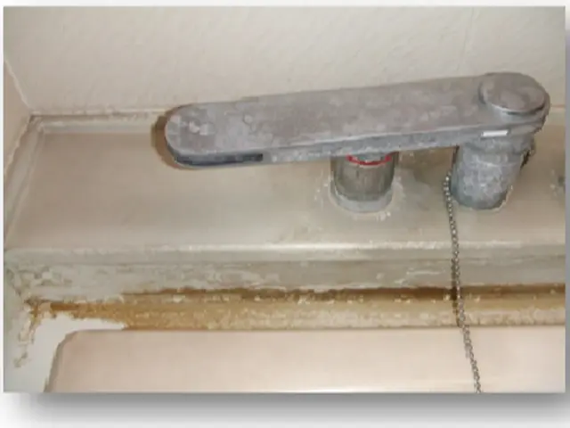 《国家資格》技能士・ダスキン経験２３年の実績・安心して依頼して下さい。サービスの画像