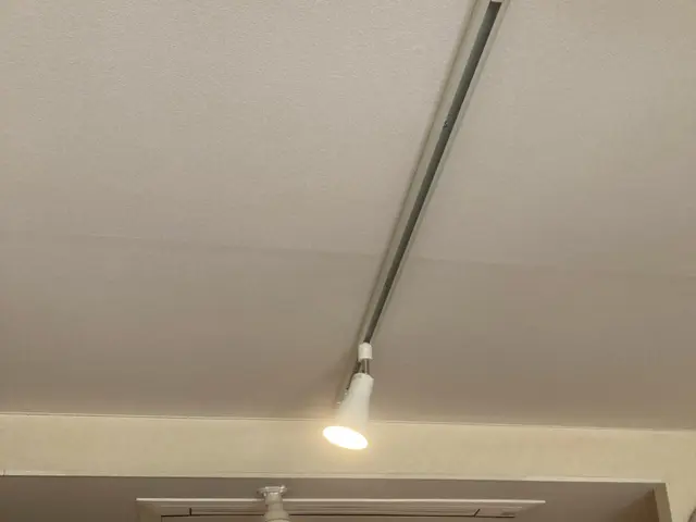 ダクトレール(ライティングレール)の設置☆当店のスタッフがお伺い致します☆サービスの画像