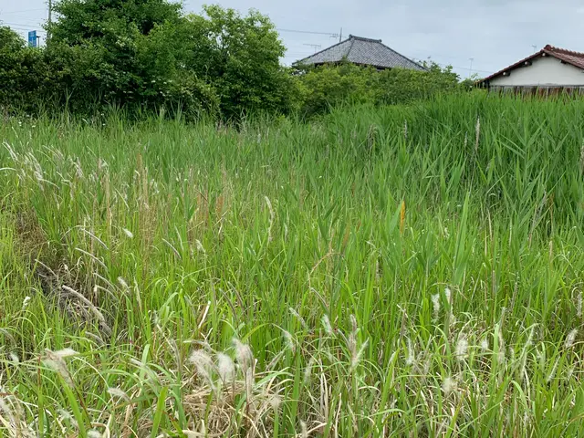 【相談無料】ご相談はメッセージのやり取りだけでも可能です。ご気軽にどうぞサービスの画像