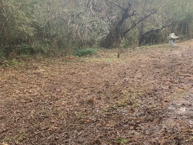 【相談無料】ご相談はメッセージのやり取りだけでも可能です。ご気軽にどうぞサービスの画像