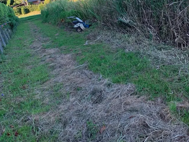 【相談無料】ご相談はメッセージのやり取りだけでも可能です。ご気軽にどうぞサービスの画像