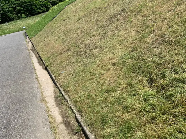 【相談無料】ご相談はメッセージのやり取りだけでも可能です。ご気軽にどうぞサービスの画像