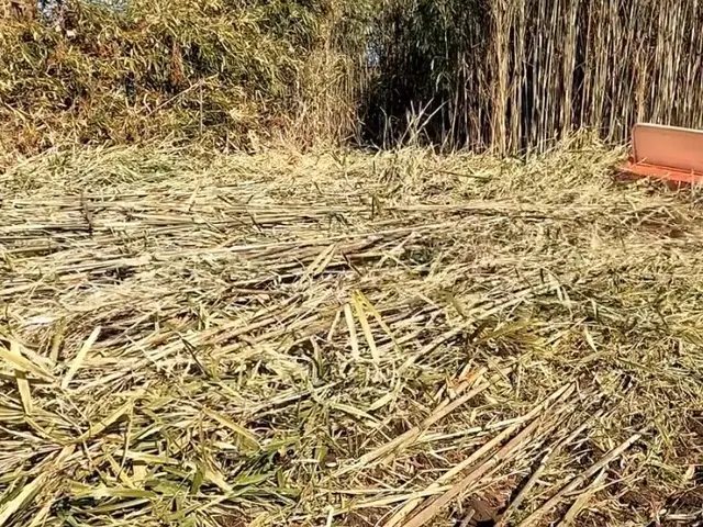 【相談無料】ご相談はメッセージのやり取りだけでも可能です。ご気軽にどうぞサービスの画像