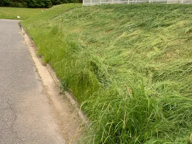 【相談無料】ご相談はメッセージのやり取りだけでも可能です。ご気軽にどうぞサービスの画像