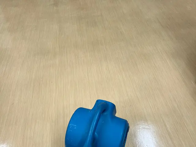 関西一部限定☆現金払いでPayPay払い・クレジットカード対応☆サービスの画像