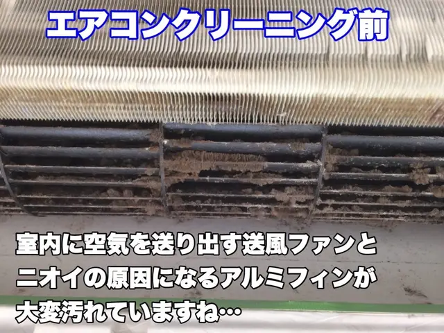 大阪〜兵庫【エアコンクリーニング士】非喫煙者♬駐車場ご負担なし！当日翌日ご相談可サービスの画像
