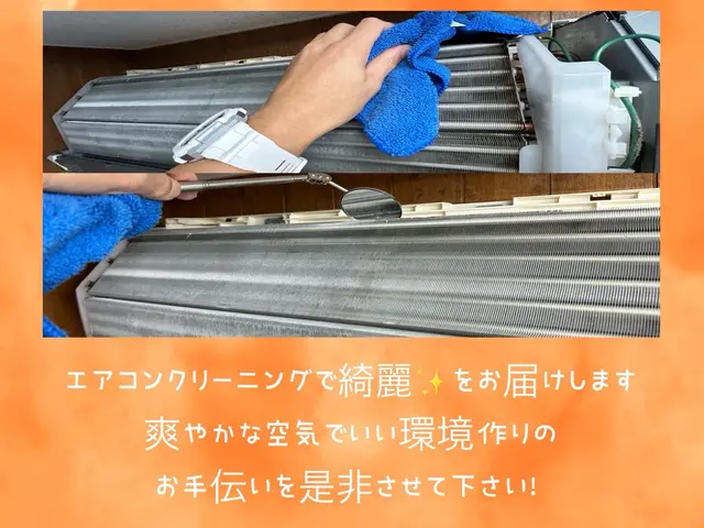 綺麗好きな性格で、カビ/汚れを見逃すことが出来ないクリーニングサービスの画像