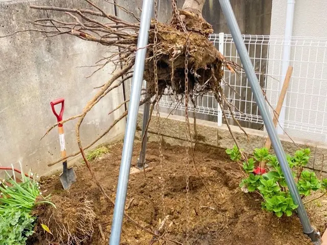【必ず私が伺います！】お庭・空き家・空き地対応可能◎立ち会い不要です！サービスの画像