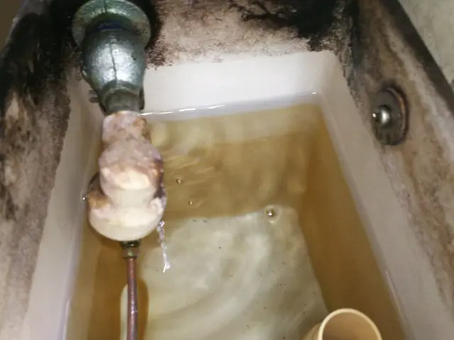 【インボイス登録事業者】処分費込！カード利用可能！お気軽にお問い合わせください☆サービスの画像