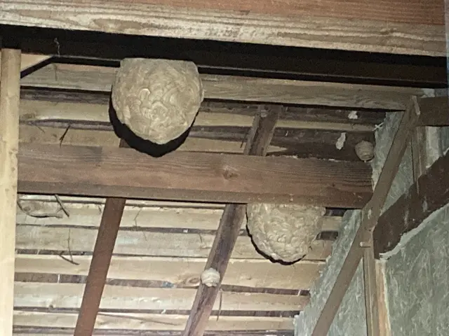 くらしのマーケット新規出店キャンペーン★先着10名様限定 2000円割引実施中！サービスの画像