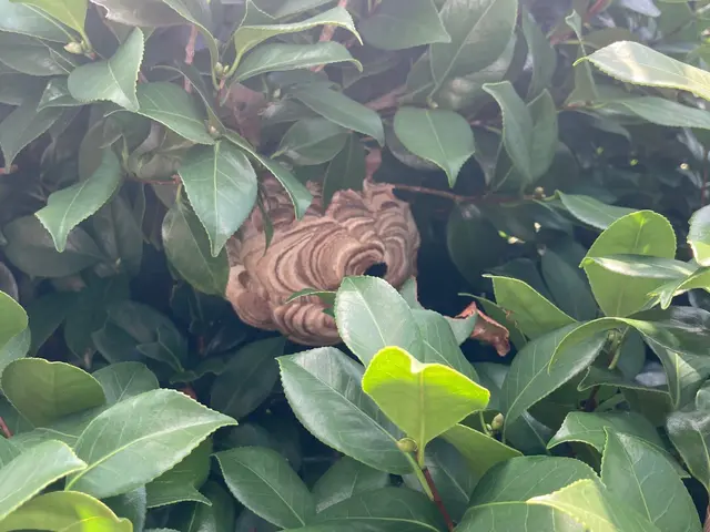 くらしのマーケット新規出店キャンペーン★先着10名様限定 2000円割引実施中！サービスの画像