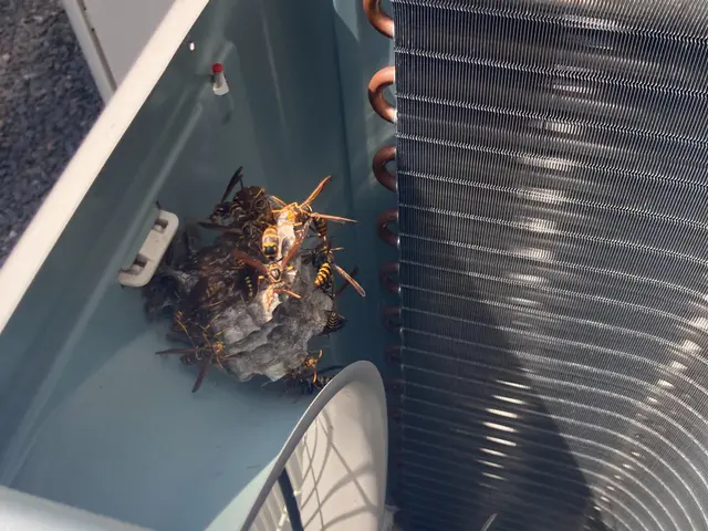 くらしのマーケット新規出店キャンペーン★先着10名様限定 2000円割引実施中！サービスの画像