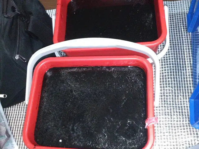 丁寧なエアコン洗浄を実施サービスの画像