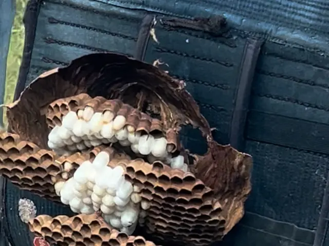 【夫婦で訪問】ヒアリングをしっかりしています。お客様のご要望をお聞かせください。サービスの画像