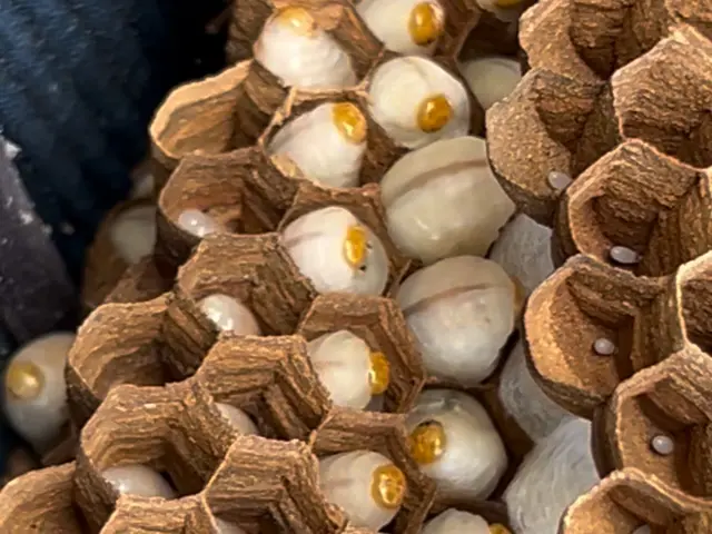 【夫婦で訪問】ヒアリングをしっかりしています。お客様のご要望をお聞かせください。サービスの画像