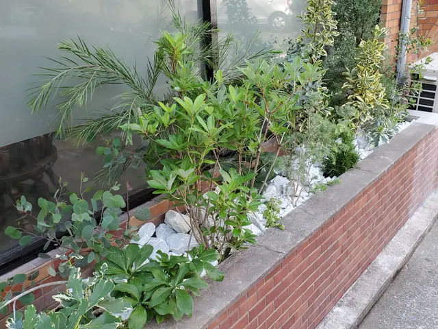 花や樹木の植栽　お客様の感性を第一に作業致しますサービスの画像