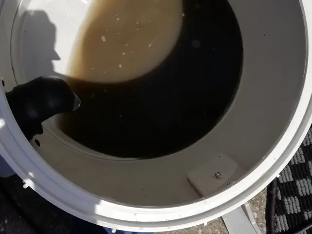 【損害保険加入済み◎】気軽に頼める本格ルームクリーニング！サービスの画像