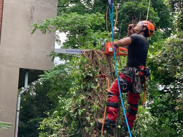 難所や高木はロープワークにて！安心安全迅速に作業致します！サービスの画像
