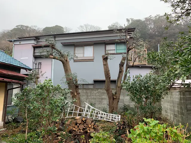 難所や高木はロープワークにて！安心安全迅速に作業致します！サービスの画像