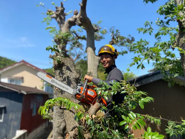 難所や高木はロープワークにて！安心安全迅速に作業致します！サービスの画像