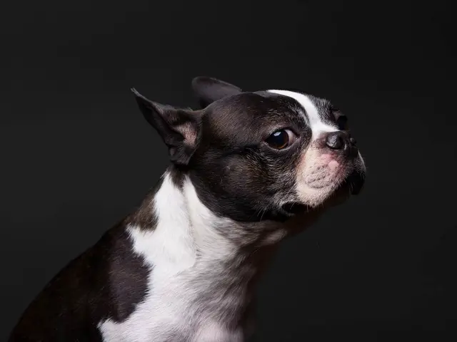 プロフィール写真を撮影します！ビジネスから遺影写真までお任せください。