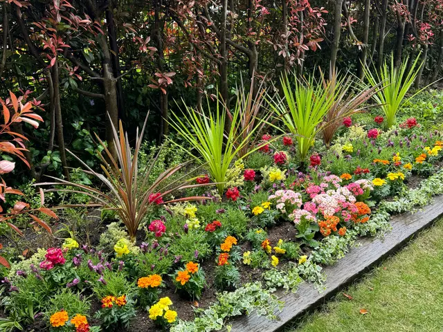 ☆花植え花壇作庭☆ガーデニングのプロによる施工！草花苗　土壌改良　材料費全て込みサービスの画像