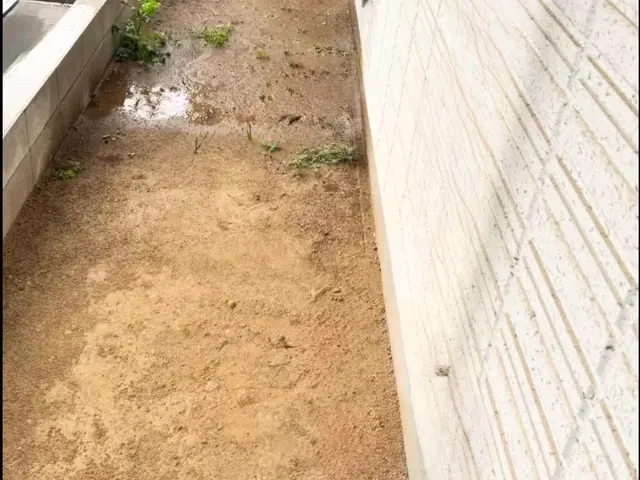 ☆花植え花壇作庭☆ガーデニングのプロによる施工！草花苗　土壌改良　材料費全て込みサービスの画像