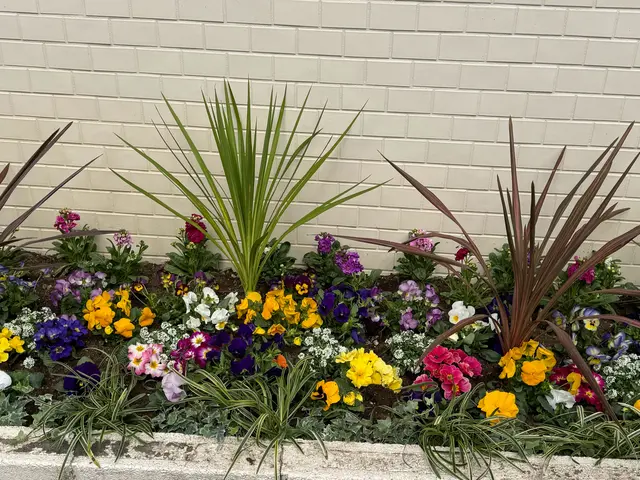 ☆花植え花壇作庭☆ガーデニングのプロによる施工！草花苗　土壌改良　材料費全て込みサービスの画像