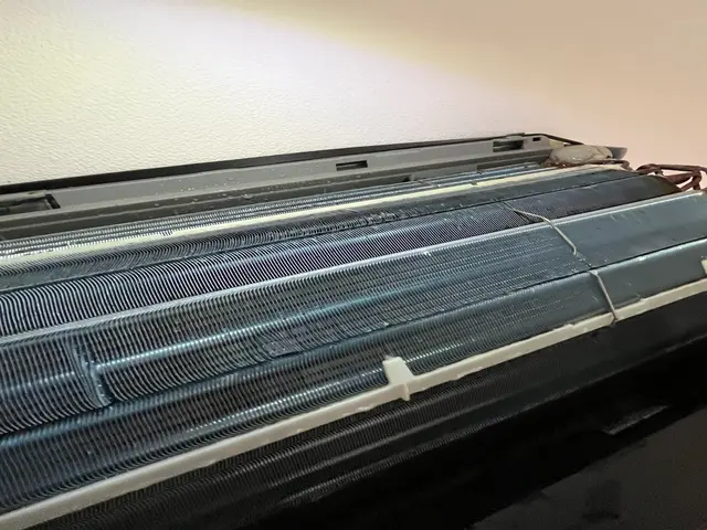 ニオイ・カビなど気になるところを徹底洗浄します！サービスの画像