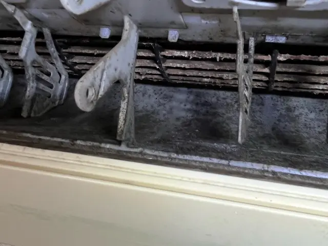 ニオイ・カビなど気になるところを徹底洗浄します！サービスの画像