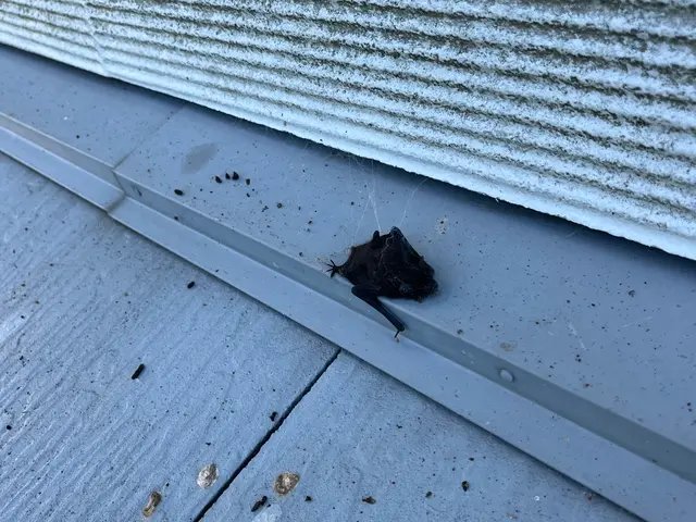 外注一切無★損害保険加入済★駐車場代店負担サービスの画像