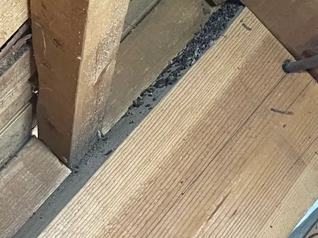 外注一切無★損害保険加入済★駐車場代店負担サービスの画像