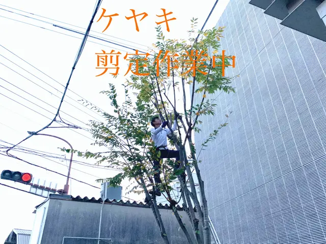 2年連続アワード入賞の植木屋《リョクケイ》【自然風剪定で美しい庭木へ】サービスの画像