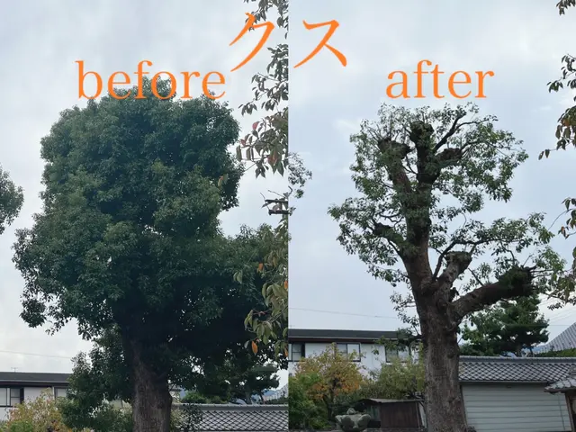 2年連続アワード入賞の植木屋《リョクケイ》【自然風剪定で美しい庭木へ】サービスの画像