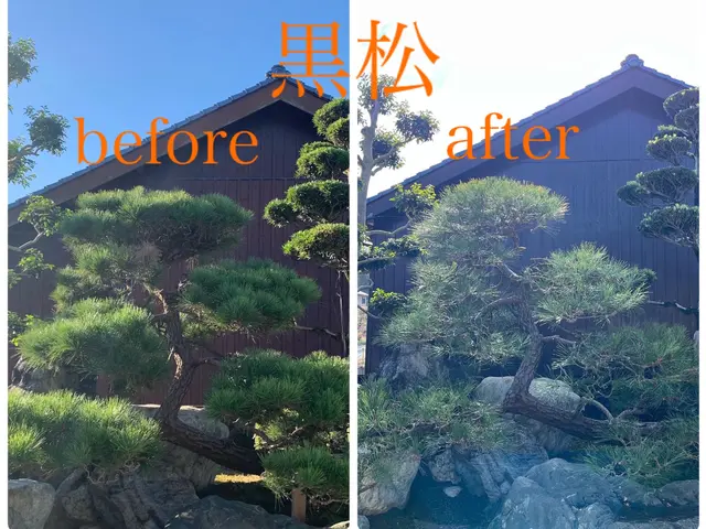 2年連続アワード入賞の植木屋《リョクケイ》【自然風剪定で美しい庭木へ】サービスの画像