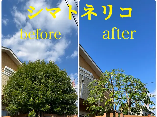 2年連続アワード入賞の植木屋《リョクケイ》【自然風剪定で美しい庭木へ】サービスの画像