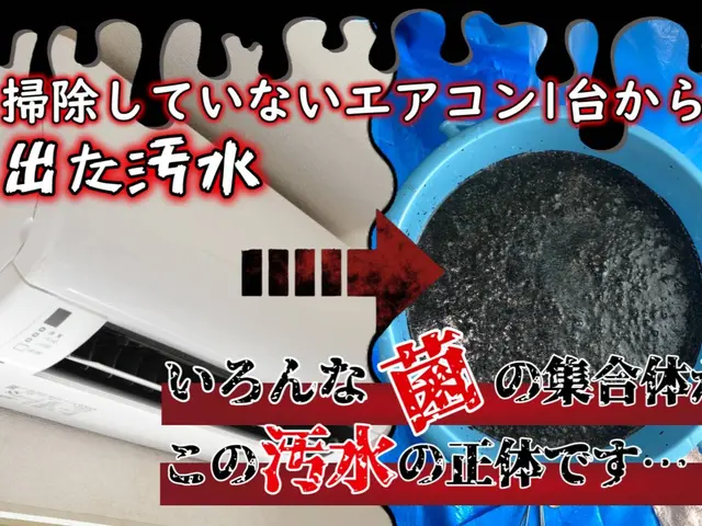 【新規出店サービス価格！】エコ洗剤使用で赤ちゃんも安心♪快適な空間をお届けしますサービスの画像