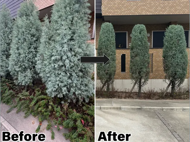 その庭大丈夫ですか？荒れた外構や伸び放題の樹木、プロが美しく整えます！見積無料！サービスの画像