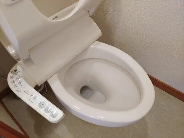 トイレクリーニングサービスの画像
