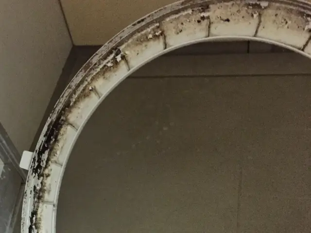 洗濯機清掃☆お試しキャンペーン！分解洗浄で内部の汚れや石鹸カスもスッキリ綺麗に☆サービスの画像