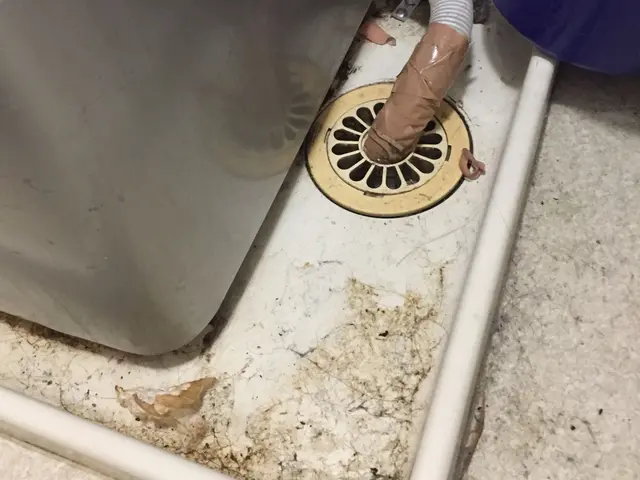 洗濯機清掃☆お試しキャンペーン！分解洗浄で内部の汚れや石鹸カスもスッキリ綺麗に☆サービスの画像