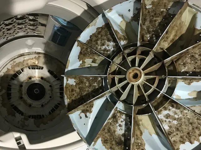 洗濯機清掃☆お試しキャンペーン！分解洗浄で内部の汚れや石鹸カスもスッキリ綺麗に☆サービスの画像