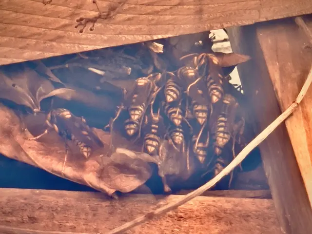 プロの技術で納得の仕上がりに！ご要望にお応えします。サービスの画像